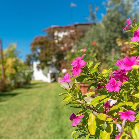 Blooming Memories Apartman Vurvurú Kültér fotó