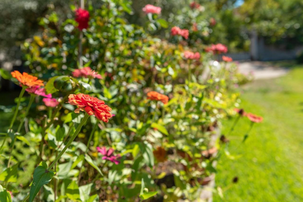 Blooming Memories Apartman Vurvurú Kültér fotó